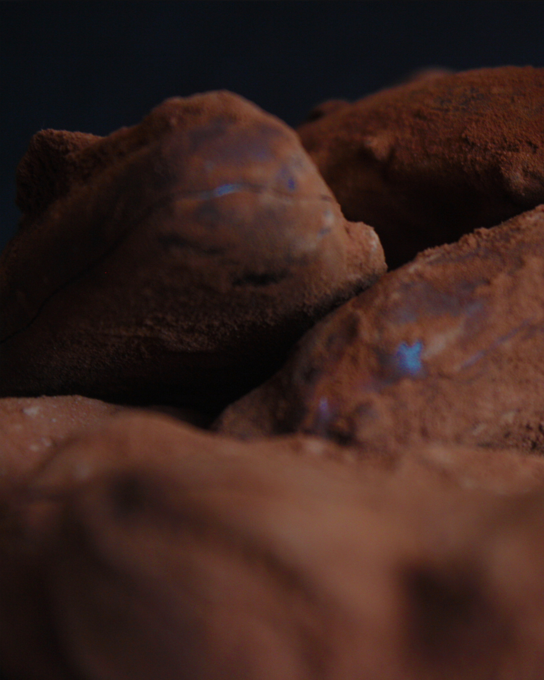 CHOCOLADE BONBONS